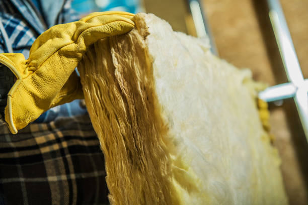 Best Insulation Maintenance and Repair in Hesston, KS
